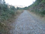 DSC00080.JPG