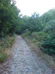 DSC00081.JPG
