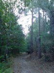 DSC00082.JPG