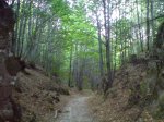 DSC00084.JPG
