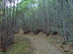 DSC00086.JPG