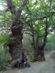 DSC00085.JPG