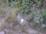 DSC00091.JPG
