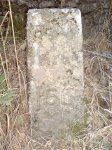 DSC00090.JPG