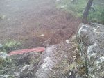 11055275_933530013373496_334289735729851838_n[1].jpg