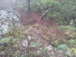 11167794_933530050040159_568847315581936321_n[1].jpg
