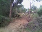 IMG-20150427-WA0011.jpg