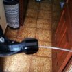 2-0B2B0B97-879549-480.jpg