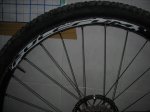DSCN7294.JPG