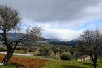 turkey15st5-view.jpg