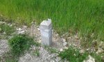 20150502_122238.jpg