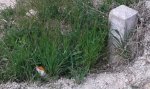 20150502_122359.jpg