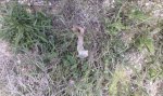 20150502_122725.jpg