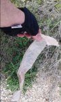 20150502_122734.jpg