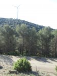 IMG_9365.JPG