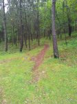 20150502_120747.jpg