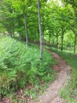 20150502_131028.jpg
