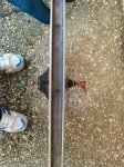 2015-05-04 18.46.58.jpg