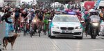 turkey15st8-dog-big.jpg