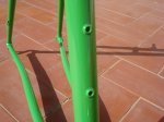 DSC05249.jpg