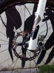IMG_20150504_194806.jpg