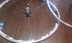 20150501_101135.jpg