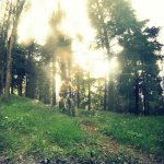 PicsArt_1430815108130.jpg