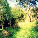 PicsArt_1430473222291.jpg