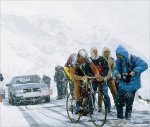 gavia-snow88.jpg