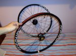 DSC02920.JPG