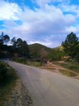 Foto0402.jpg