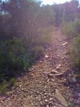 foto0411.jpg