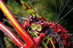 Hope-Specialized-12.jpg