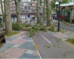Carril bici ramas.jpg