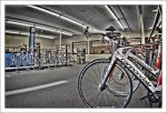Cannondale.jpg