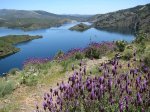 IMG_3238 El Atazar.jpg