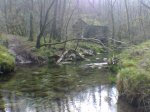 Imagen016.jpg