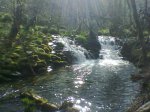 Imagen019.jpg