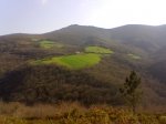 Imagen022.jpg