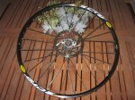 Mavic CrossRide Disc.jpg