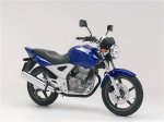 honda_cbf_250_01[1].jpg