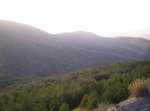 100_0673.jpg