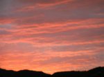 PICT0007 (Small).JPG