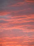 PICT0008 (Small).JPG