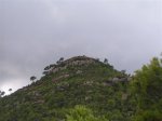 PICT0013 (Small).JPG
