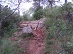 PICT0017 (Small).JPG