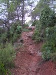 PICT0018 (Small).JPG
