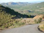 DSCN0500.jpg