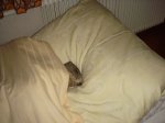 DSC00001_redimensionar.JPG