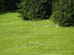 DSC00044_redimensionar.JPG